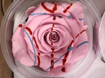 Rose Boule Graffiti Rose