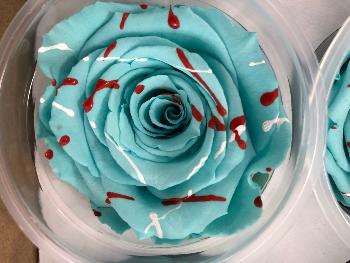 Rose Boule Graffiti Bleu