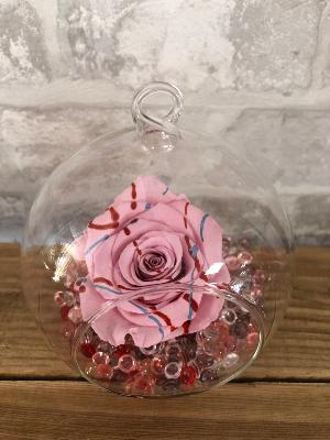 Rose Boule Graffiti Rose