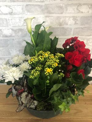 Coupe de Plantes Fleuries